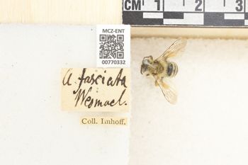 Media type: image;   Entomology 770332 Aspect: Labels